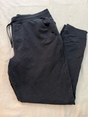Birddogs Men's Heather navy Slim Joggers